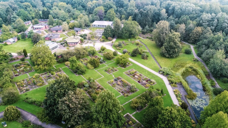 Im Botanischen Garten an der Uni Kiel sind 14.000 Pflanzenarten zuhause