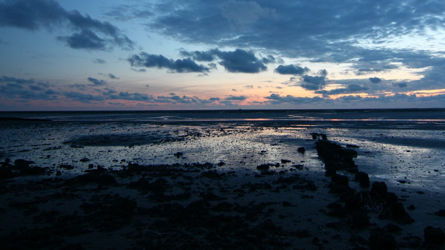 Eine Wattwanderung ist ein ganz besonderes Erlebnis für alle Sinne.
